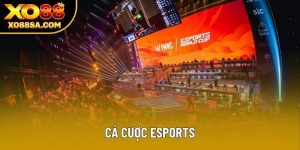 Cá Cược Esports: Bí Mật Đằng Sau Các Cược Thủ Tại XO88