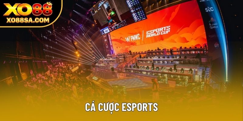 Cá Cược Esports: Bí Mật Đằng Sau Các Cược Thủ Tại XO88