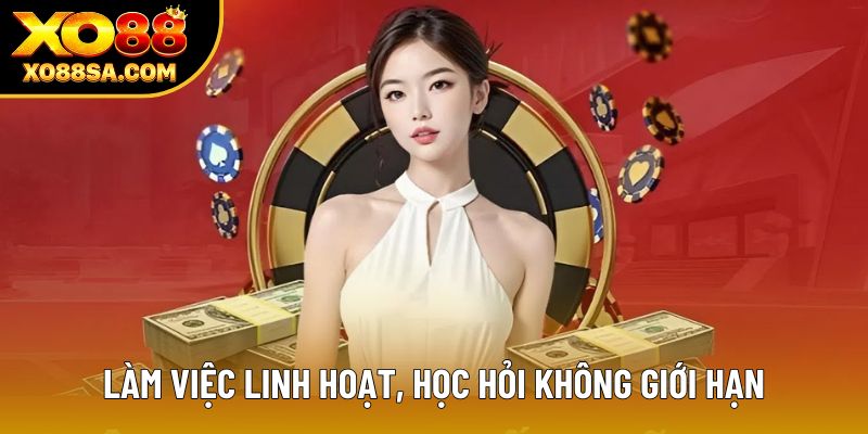 Làm việc linh hoạt, học hỏi không giới hạn Làm việc linh hoạt, học hỏi không giới hạn