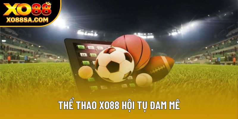 Thể thao XO88 hội tụ đam mê Thể thao XO88 hội tụ đam mê