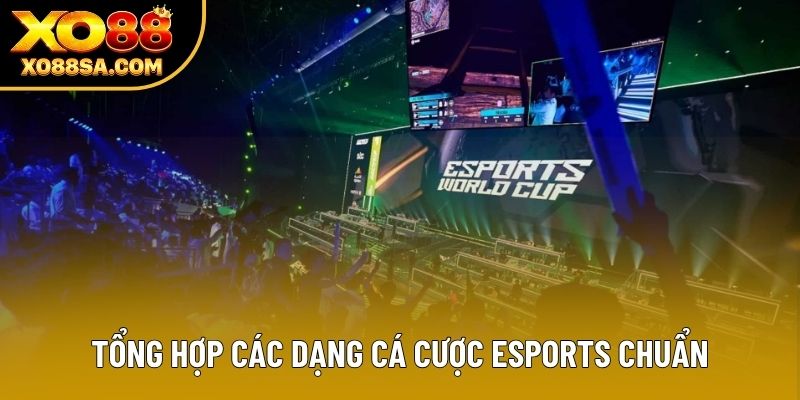 Tổng hợp các dạng cá cược Esports chuẩn