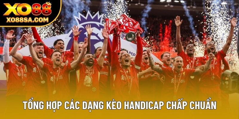 Tổng hợp các dạng kèo Handicap chấp chuẩn Tổng hợp các dạng kèo Handicap chấp chuẩn