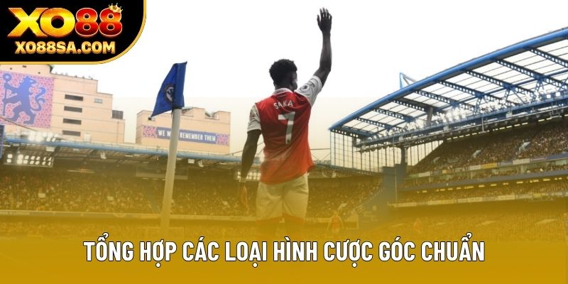 Tổng hợp các loại hình cược góc chuẩn